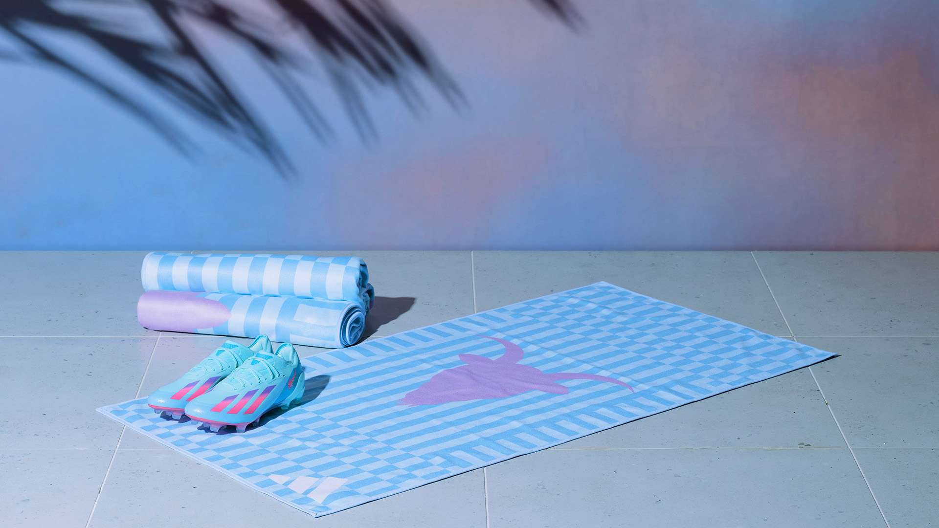 身体与心理 身体与心理