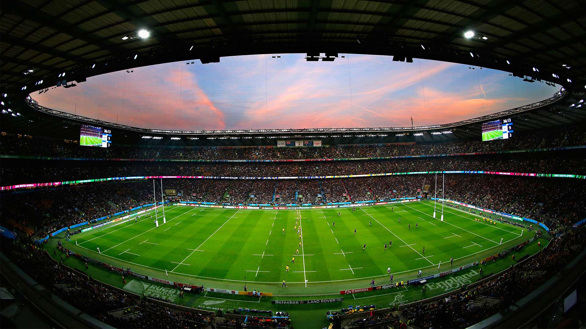 表现使得那 表现使得那